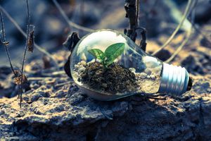 Flexible electricity contracts